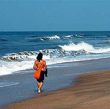 Goa Beach Diet-1