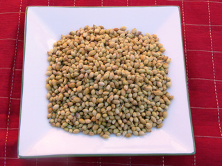 Coriander seeds and Cilantro Leaves