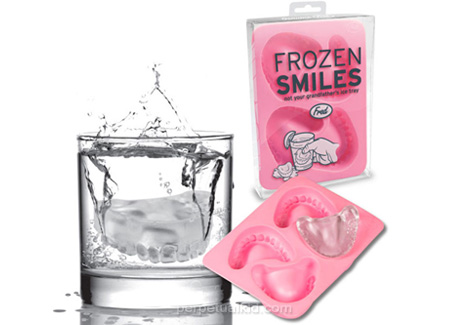 Funny Gadget : Frozen Smiles Ice Cube Tray