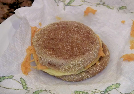Vitalicious Vitasandwich Egg N Cheese With Veggies Review Video