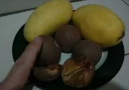Filipino Fruits Video